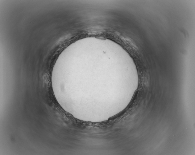 X0000111611445200908281040
