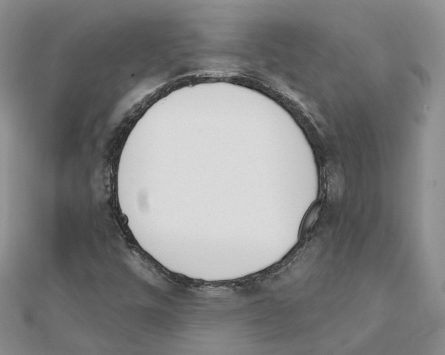 X0000111611448200908281040
