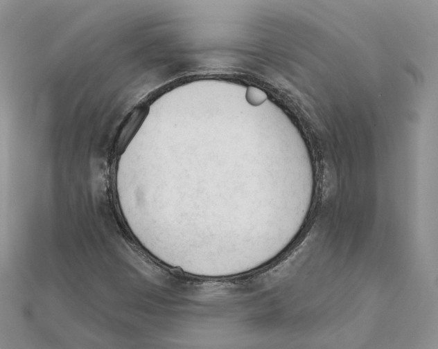 X0000111611449200908281040