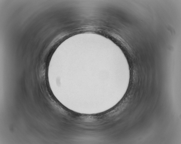 X0000111611450200908281040