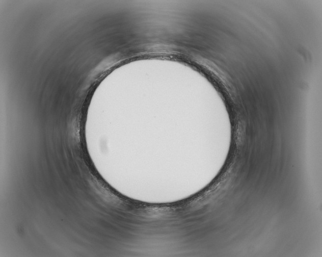 X0000111611451200908281040
