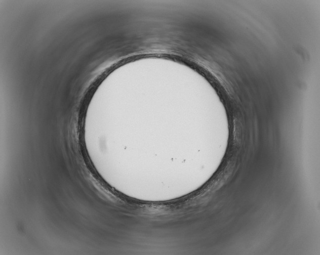 X0000111611452200908281040