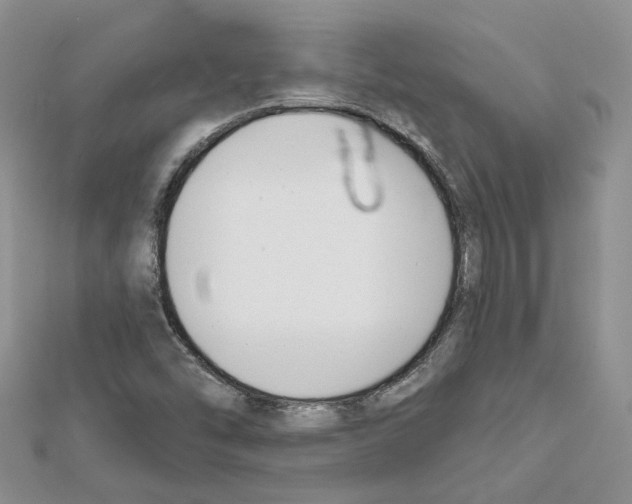 X0000111611454200908281040