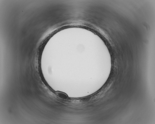 X0000111611456200908281040