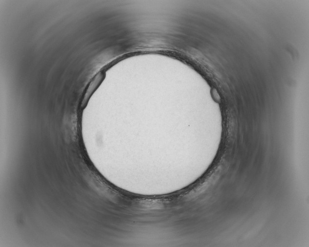 X0000111611457200908281040
