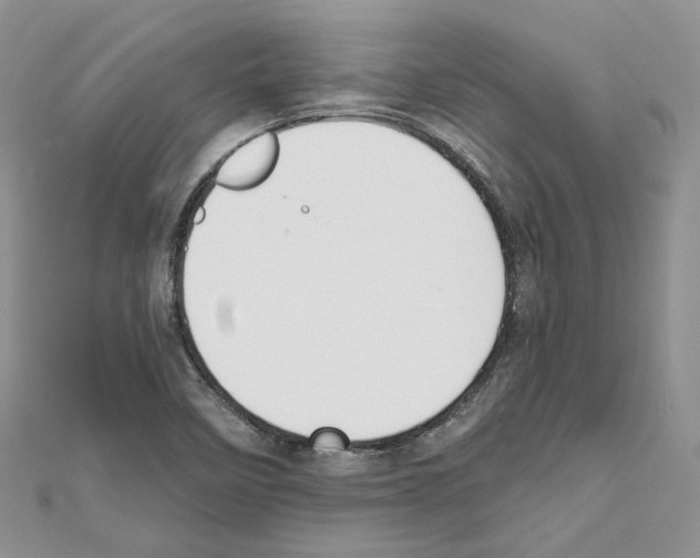X0000111611458200908281040