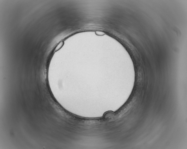 X0000111611461200908281040