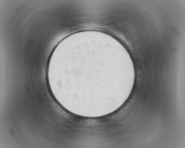 X0000111611463200908281040