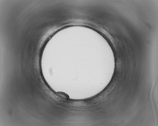 X0000111611464200908281040