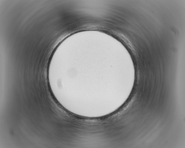 X0000111611465200908281040