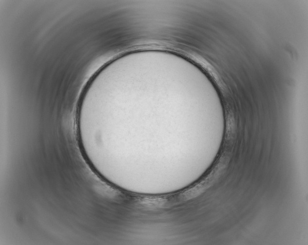 X0000111611466200908281040
