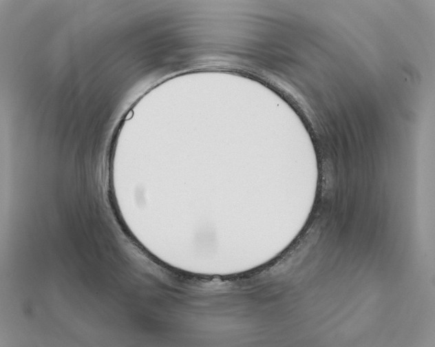 X0000111611467200908281040