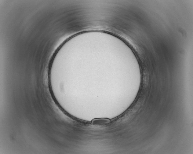 X0000111611468200908281040