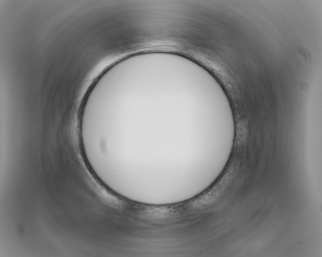 X0000111611470200908281040