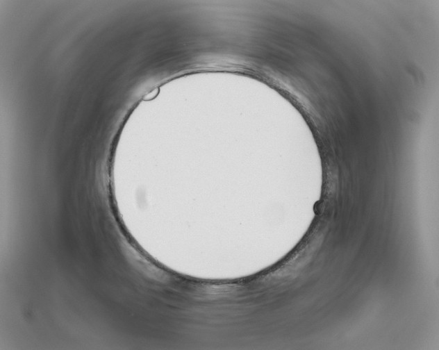 X0000111611471200908281040