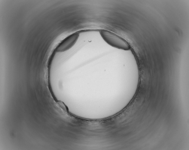X0000111611472200908281040