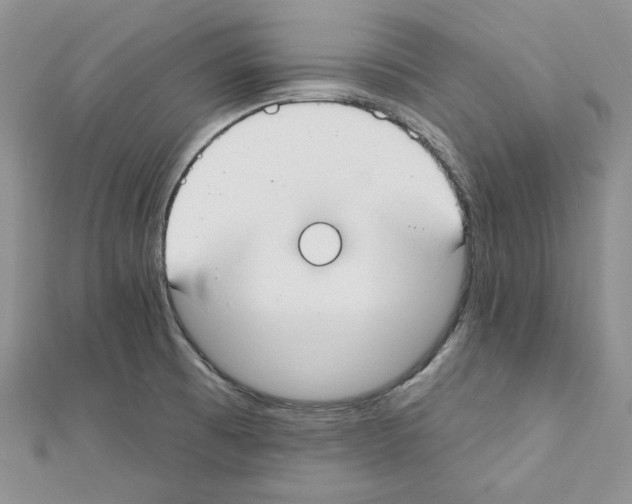 X0000111611473200908281040