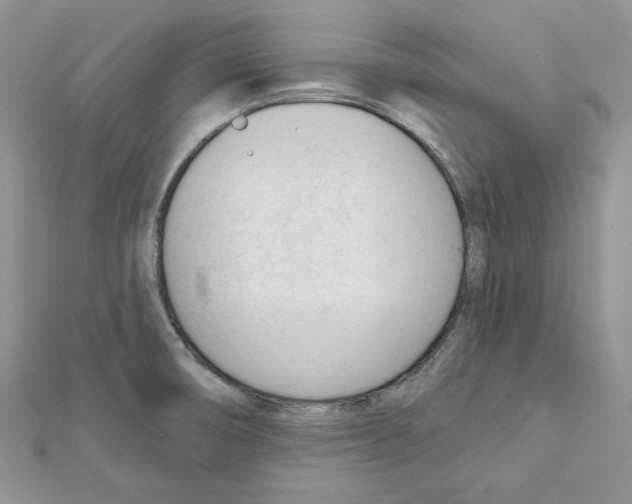 X0000111611474200908281040