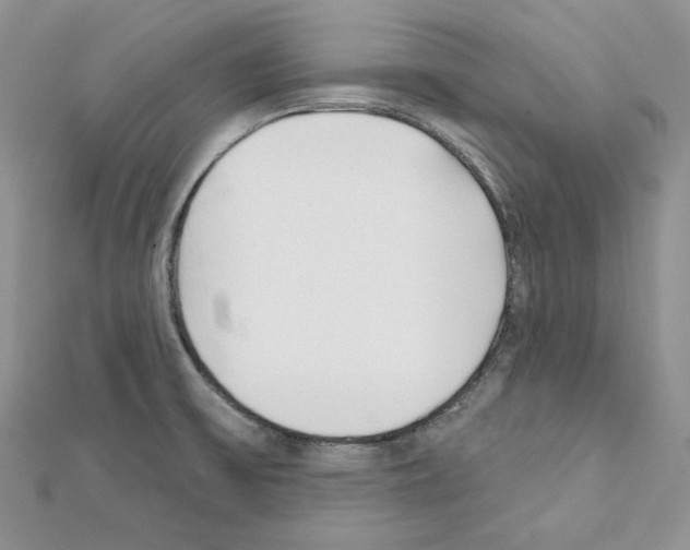 X0000111611475200908281040