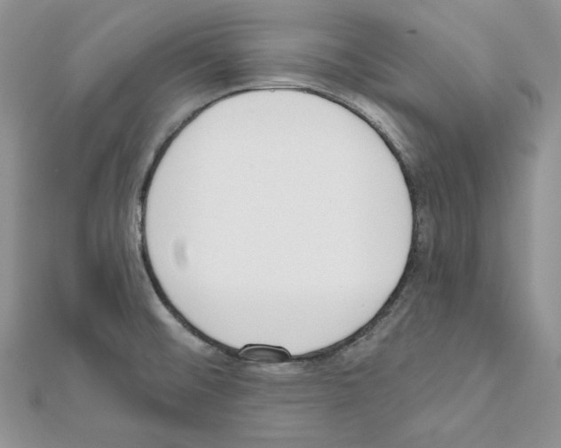 X0000111611476200908281040