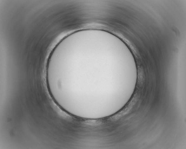 X0000111611478200908281040
