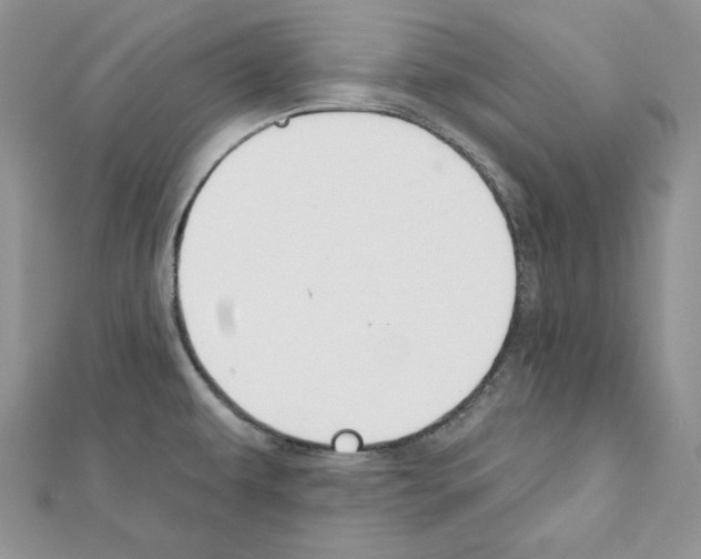 X0000111611479200908281040