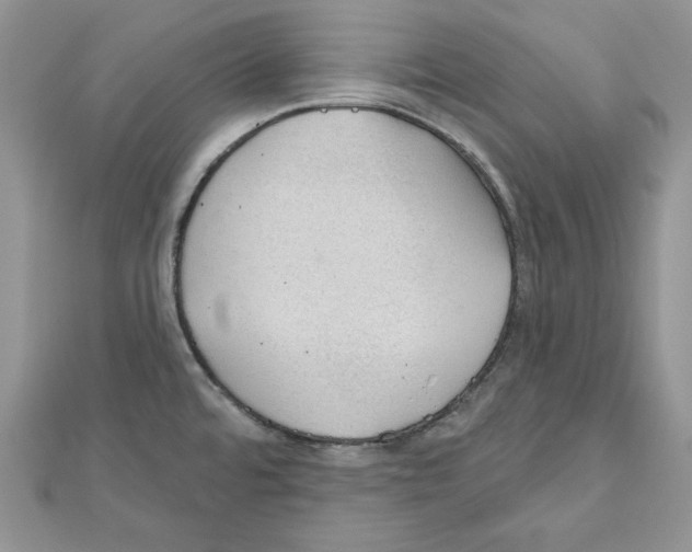 X0000111611480200908281040