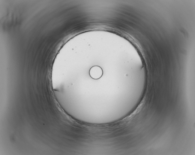 X0000111611481200908281040