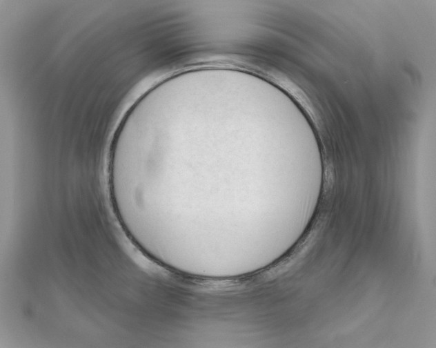 X0000111611482200908281040