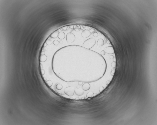 X0000111611483200908281040