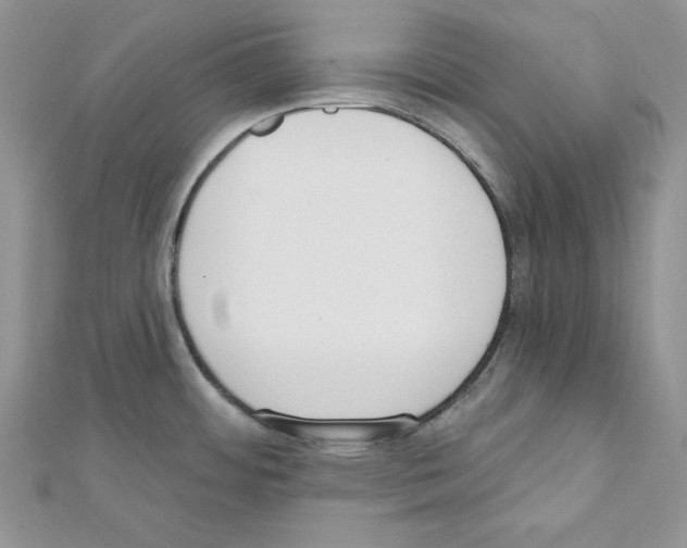 X0000111611484200908281040