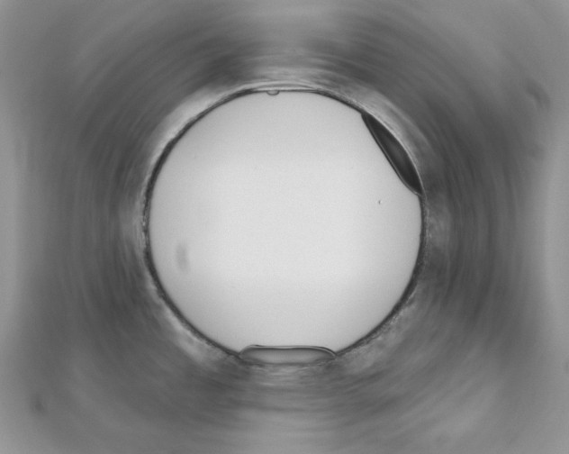 X0000111611485200908281040