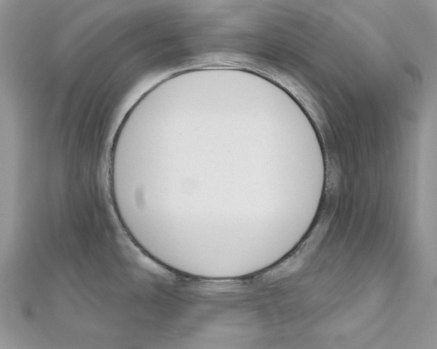 X0000111611486200908281040