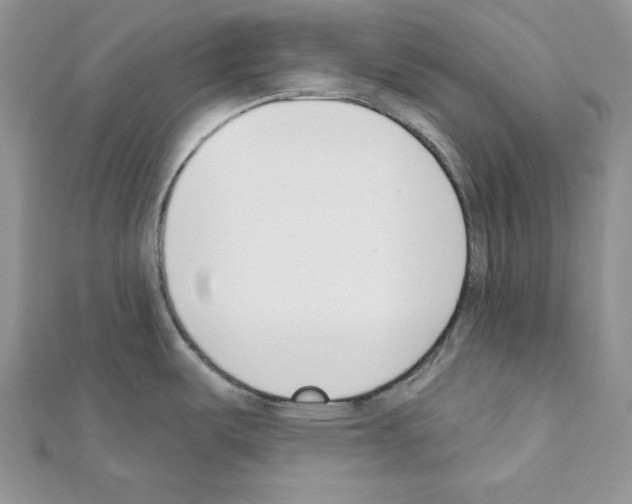 X0000111611487200908281040