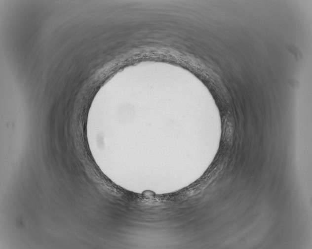 X0000111611489200908281039