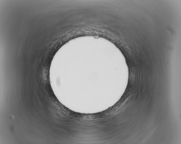 X0000111611490200908281039