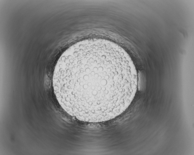 X0000111611491200908281039