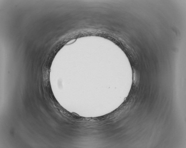 X0000111611492200908281039