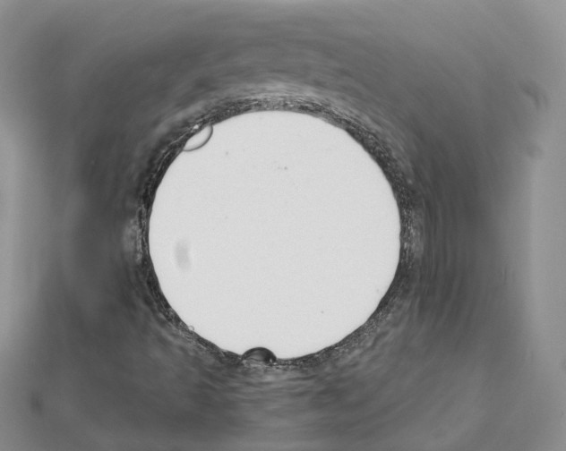 X0000111611493200908281039