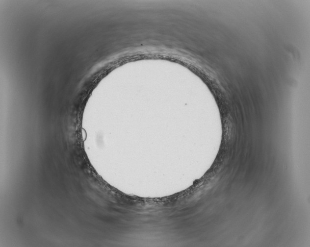 X0000111611494200908281039
