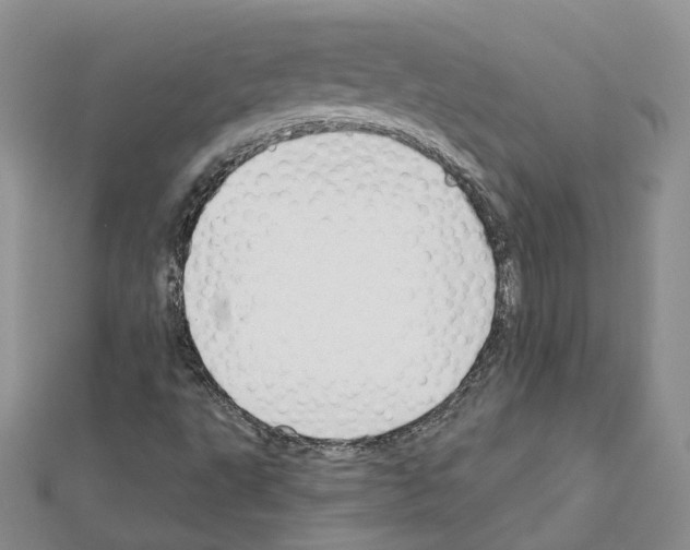 X0000111611495200908281039