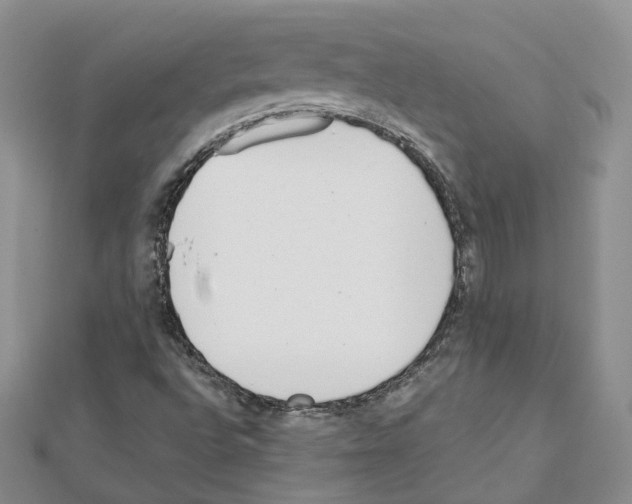 X0000111611496200908281039