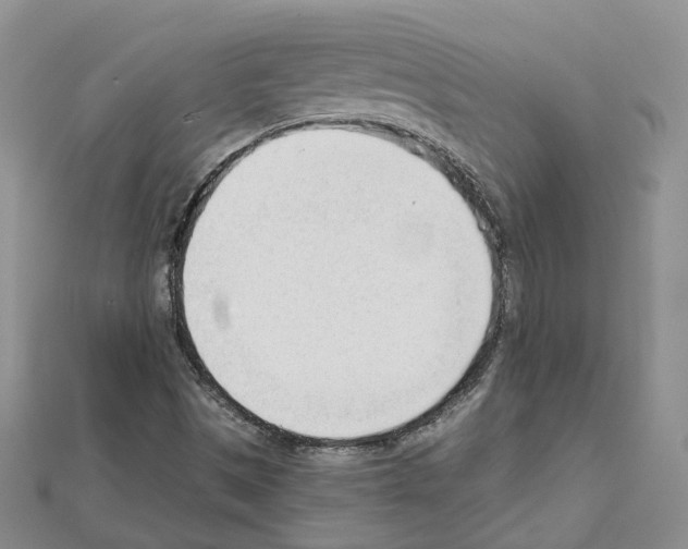 X0000111611497200908281039