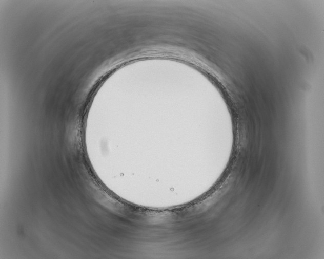 X0000111611498200908281039