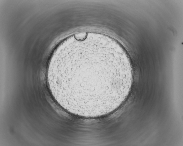 X0000111611499200908281039