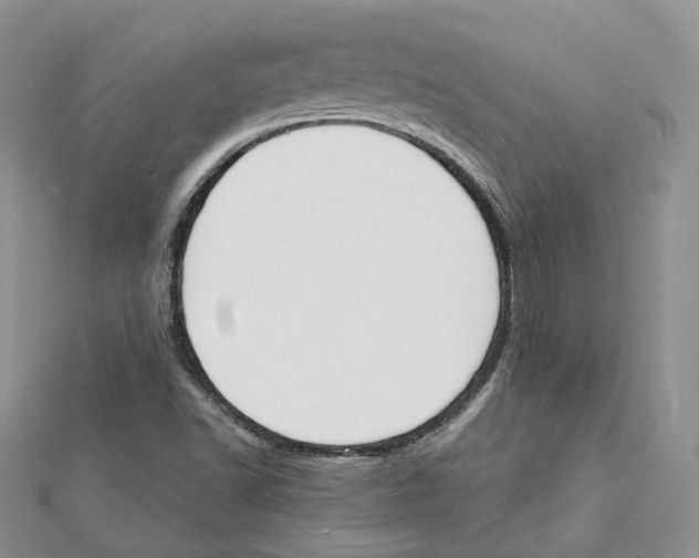 X0000111611502200908281039