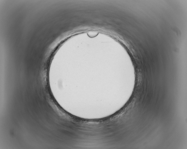 X0000111611503200908281039