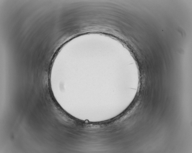 X0000111611505200908281039