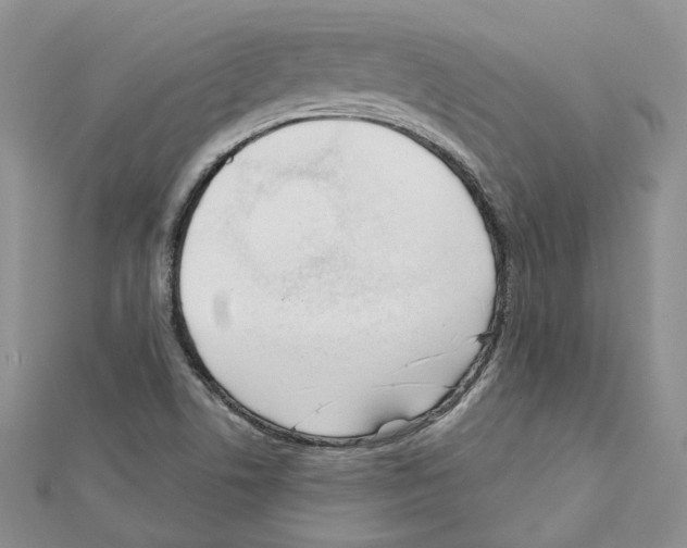 X0000111611506200908281039
