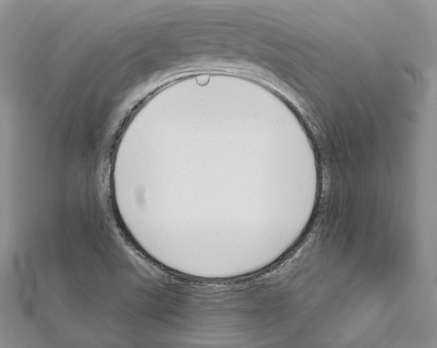 X0000111611507200908281039